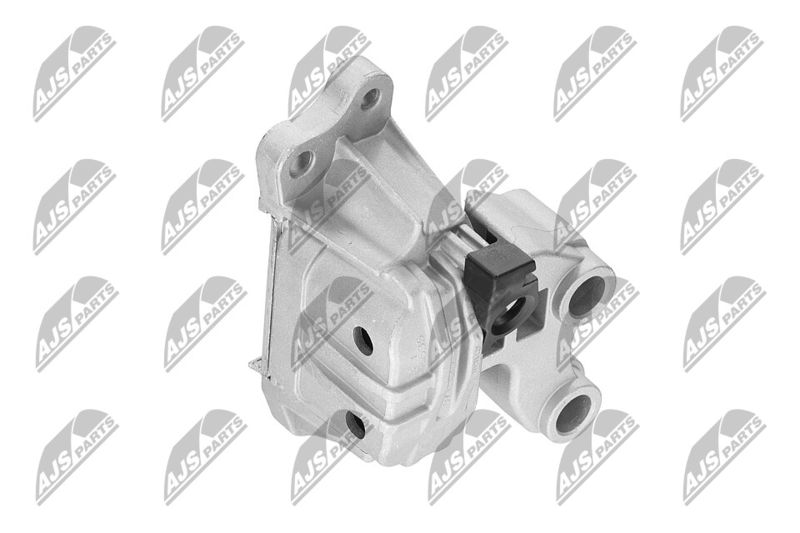 Paigutus, Mootor, NTY ZPS-CH-127