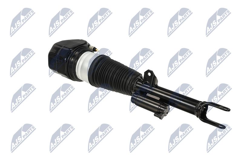 Amort, NTY A-BM-088