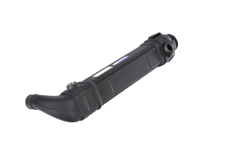 REMANTE 010-001-000025R EGR Module