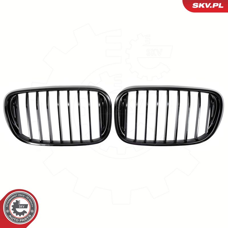 Radiaatorivõre, ESEN SKV 66SKV222