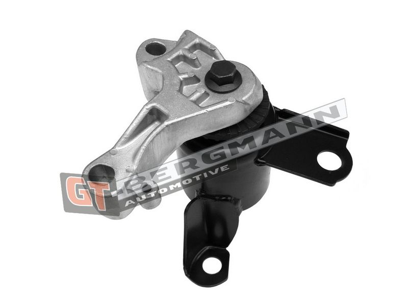 GT-BERGMANN Automotive Variklio montavimas