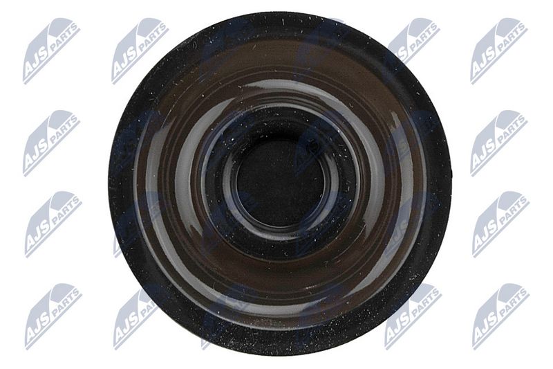 Klapikaas, NTY BPZ-RE-005