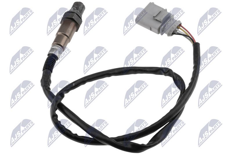 ESL-VW-000_1-WM.JPG