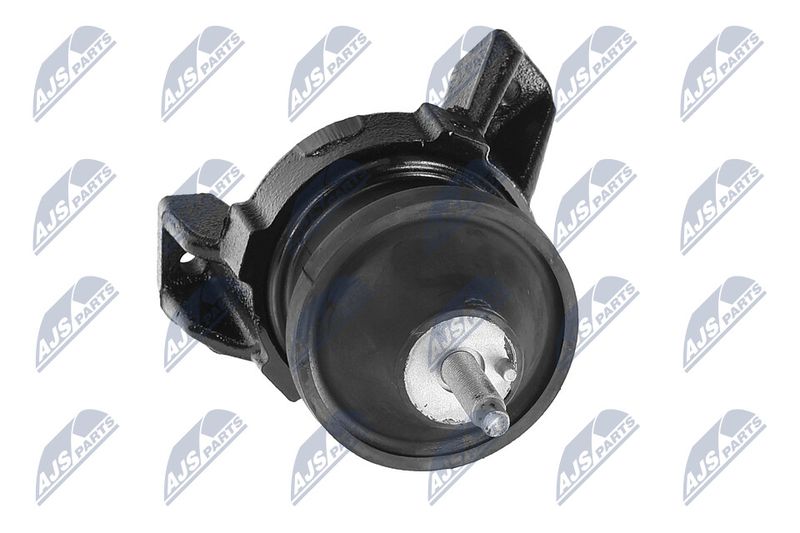 Paigutus, Mootor, NTY ZPS-HY-565