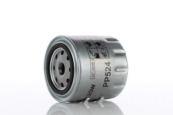 PP524.JPG