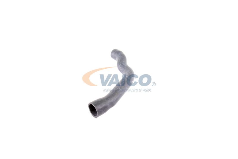 VAICO V30-2099 Radiator Hose