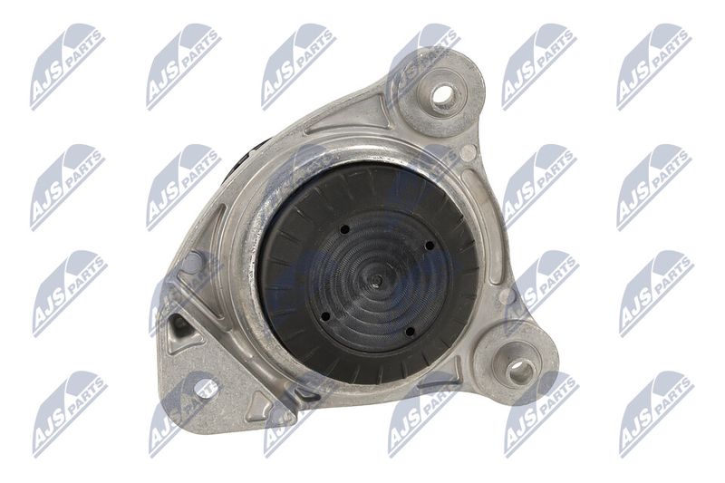 Paigutus, Mootor, NTY ZPS-ME-065