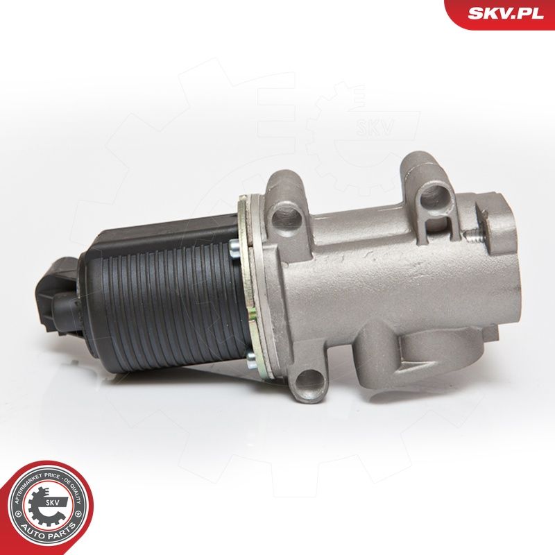EGR-klapp, ESEN SKV 14SKV076