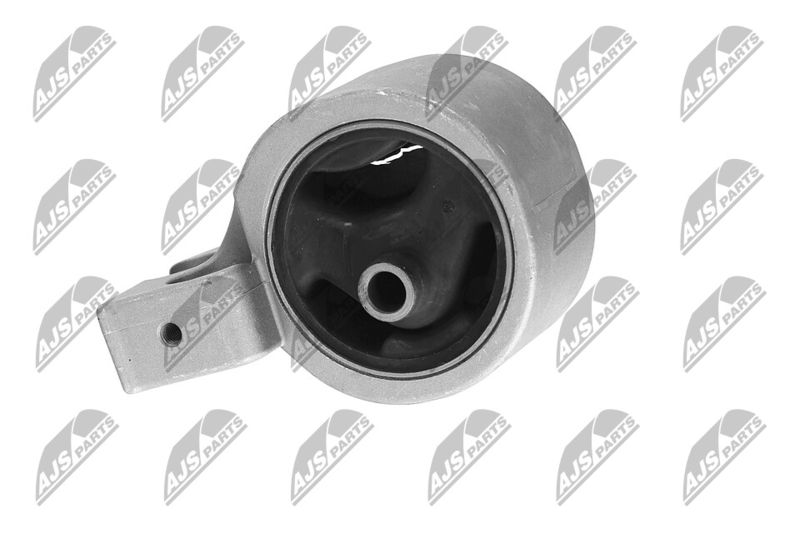 Paigutus, Mootor, NTY ZPS-HY-504