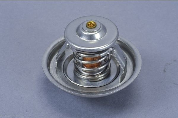 AUTOMEGA 160032710 Thermostat, coolant