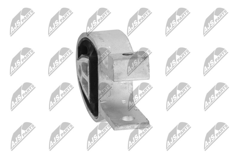 Paigutus, Mootor, NTY ZPS-FR-010