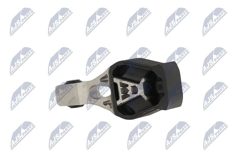 Paigutus, Mootor, NTY ZPS-PE-022