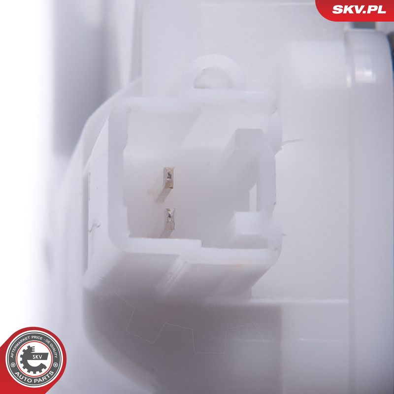 Tagaluugi sulgur, ESEN SKV...