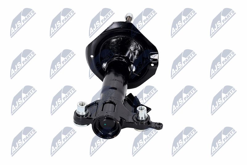 Amort, NTY A-NS-016