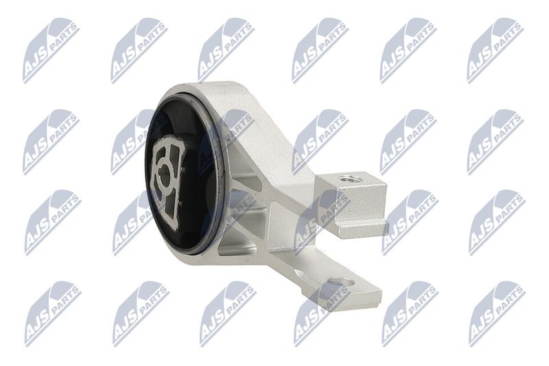 Paigutus, Mootor, NTY ZPS-PL-002