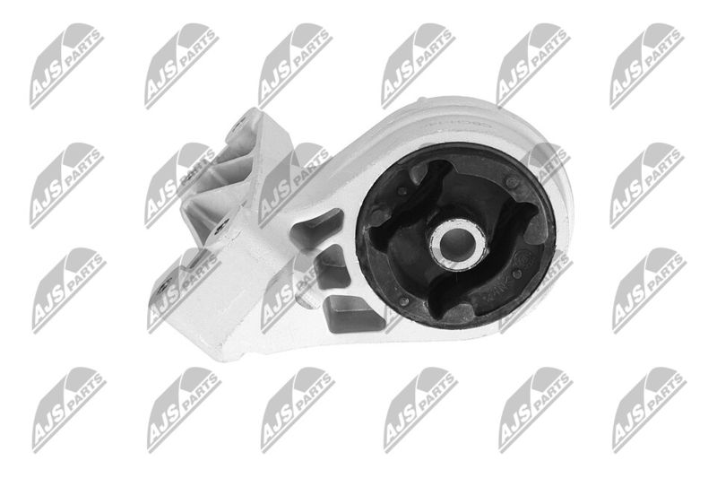 Paigutus, Mootor, NTY ZPS-CH-148