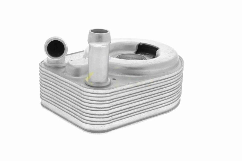 VEMO V48-60-0013 Oil Cooler, engine oil