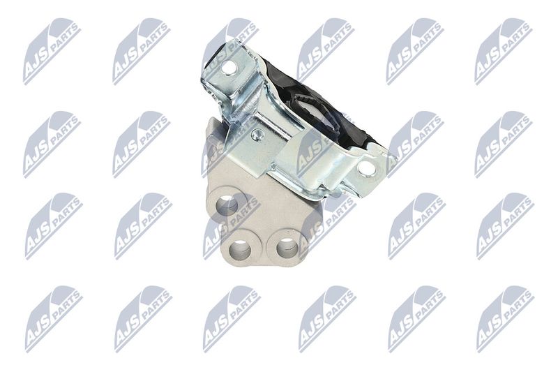 Paigutus, Mootor, NTY ZPS-FT-029