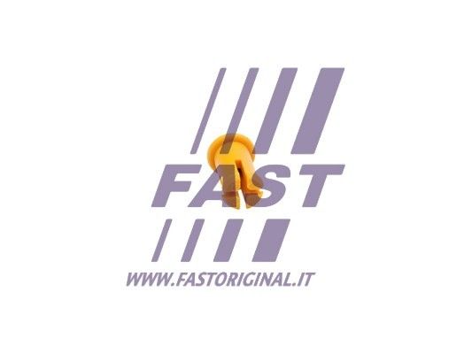 FT96021_2_1.JPG