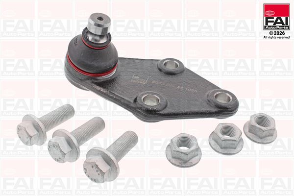 FAI AutoParts Šarnyras / girgždukas