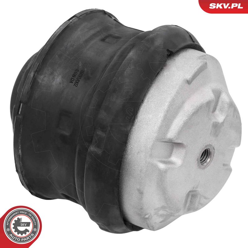 Paigutus, Mootor, ESEN SKV...