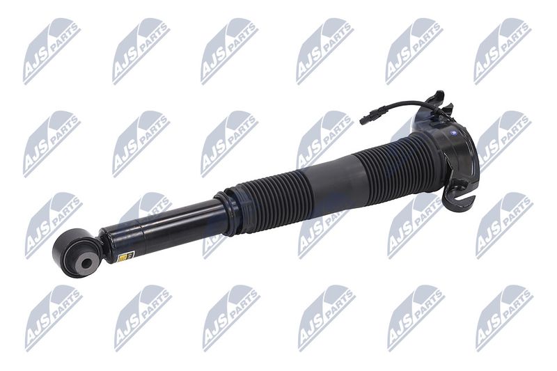 Amort, NTY A-LR-022