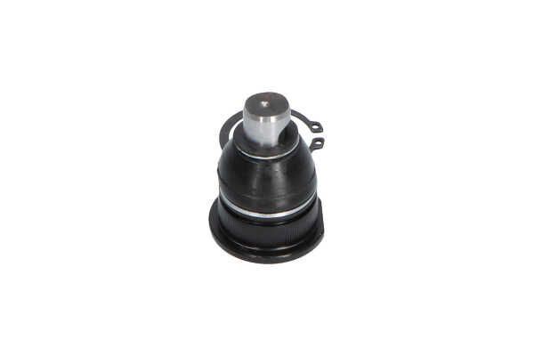 Kavo Parts SBJ-10011 Šarnyras