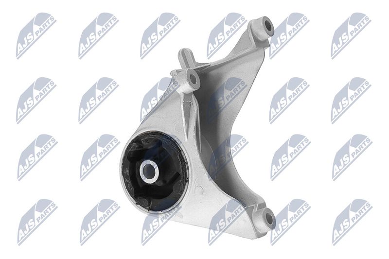 Paigutus, Mootor, NTY ZPS-CH-149