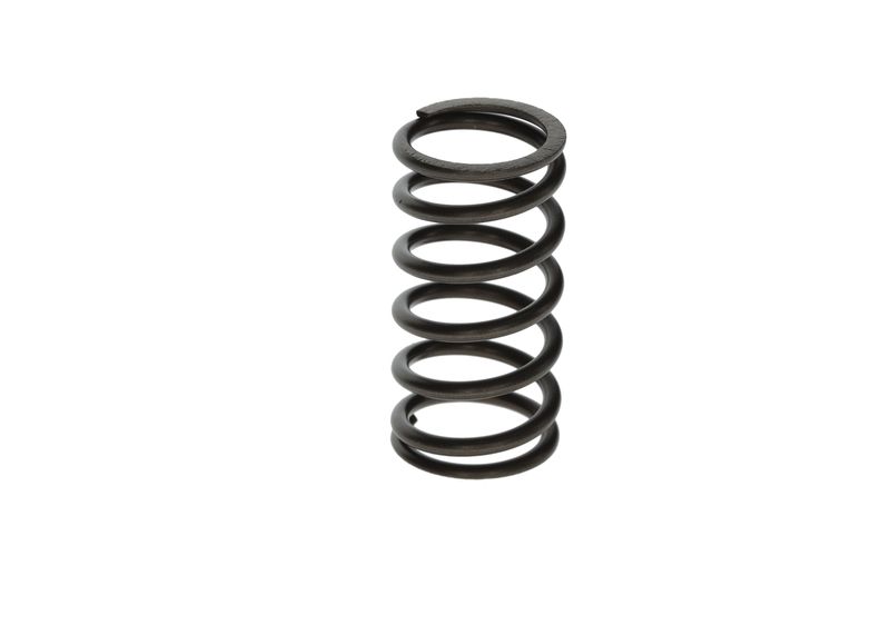 BOSCH F00N201853 Spring