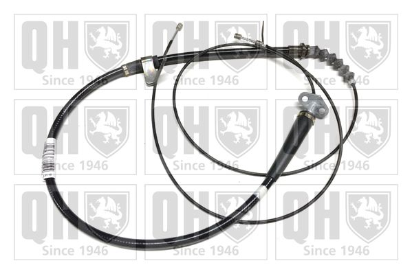 QH_BC3384.JPG