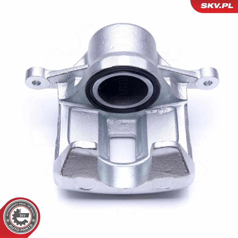 Pidurisadul, ESEN SKV 45SKV171