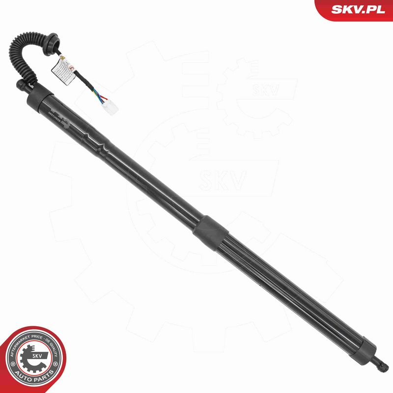 ESEN SKV 52SKV296 Electric Motor, tailgate