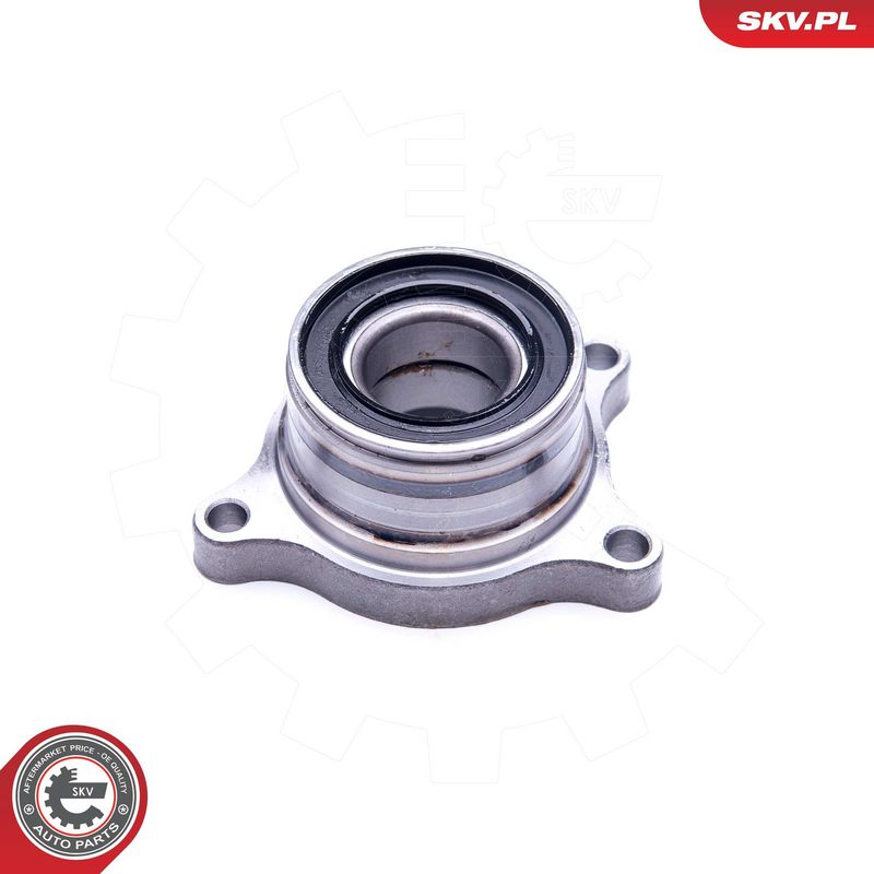 Rattalaagrikomplekt, ESEN...