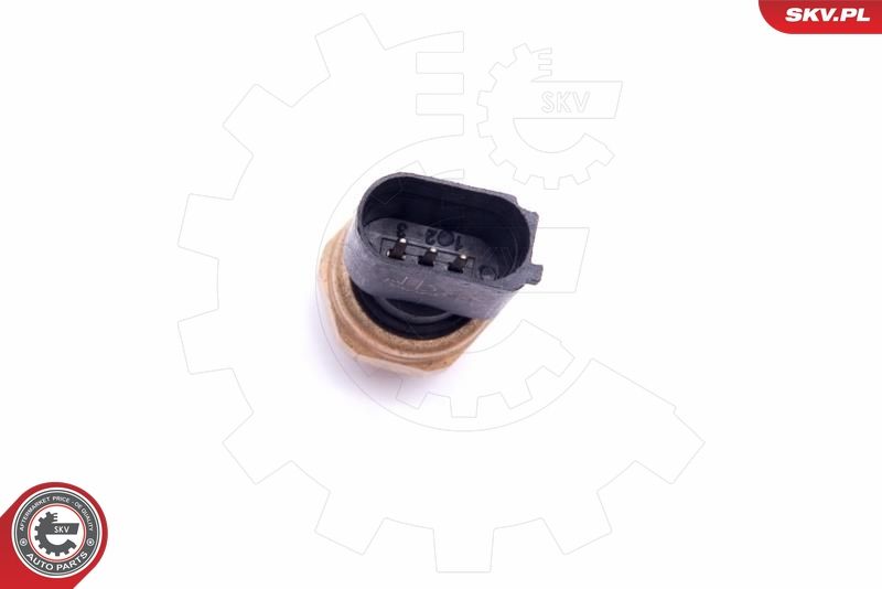 ESEN SKV 17SKV622 Sensor, fuel pressure