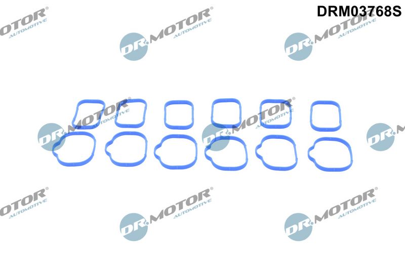 Dr.Motor Automotive Tarpiklių rinkinys, įsiurbimo kolektorius