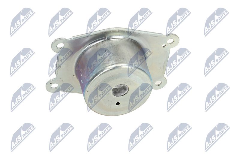 Paigutus, Mootor, NTY ZPS-PL-044