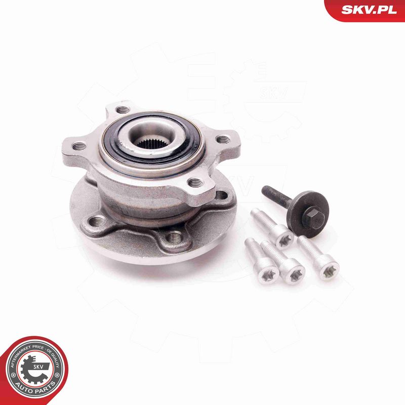ESEN SKV 29SKV076 Wheel Bearing Kit