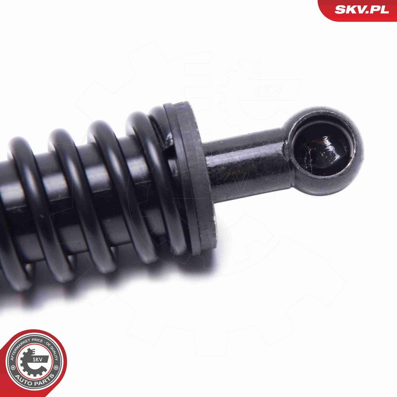 ESEN SKV 52SKV949 Electric Motor, tailgate