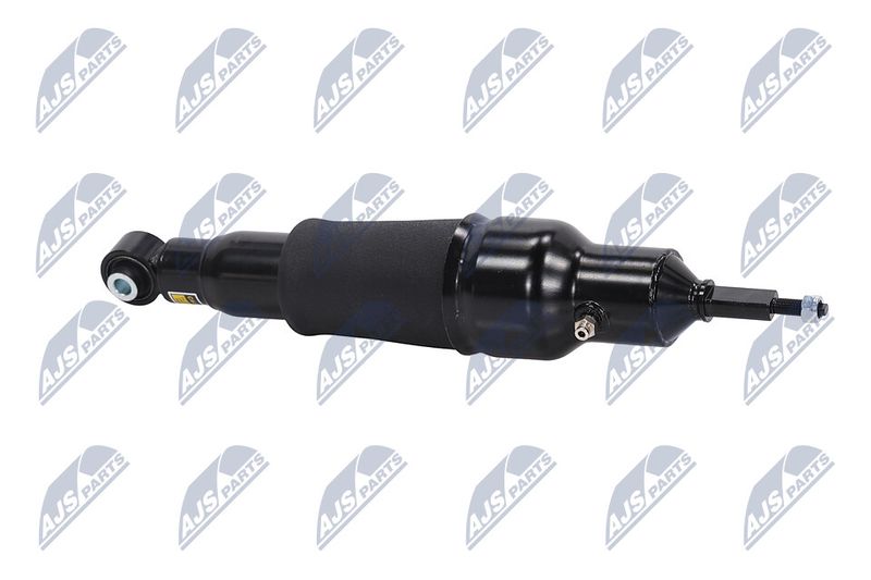 Amort, NTY A-NS-051
