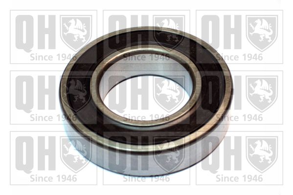 QH_XB9946.JPG