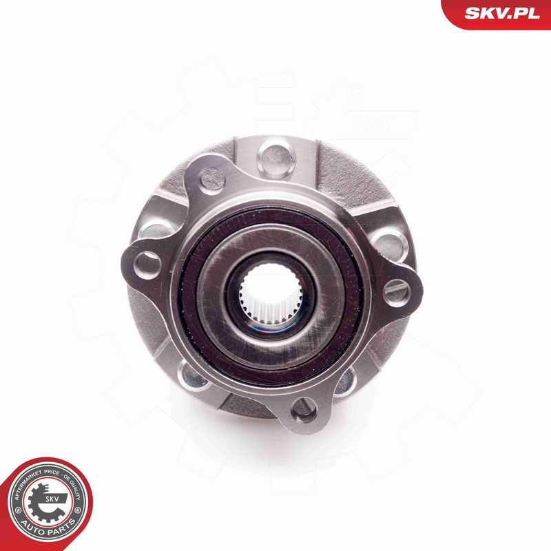 ESEN SKV 29SKV106 Wheel Bearing Kit