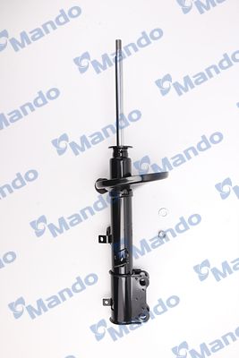 MSS015873(2).JPG