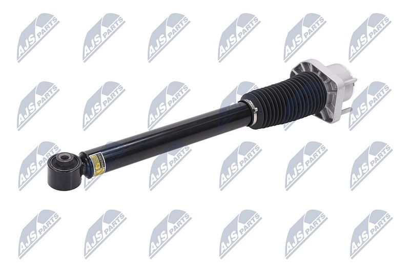Amort, NTY A-LR-015