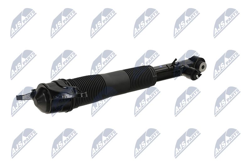 Amort, NTY A-LR-036