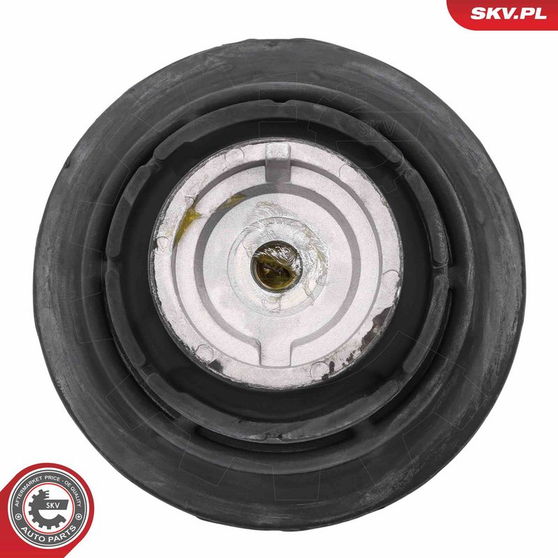 Paigutus, Mootor, ESEN SKV 75SKV001