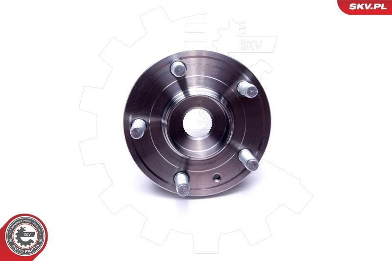 ESEN SKV 29SKV353 Wheel Bearing Kit
