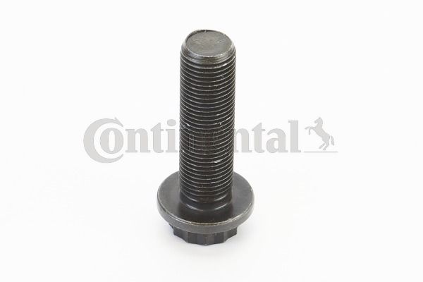V49029.JPG