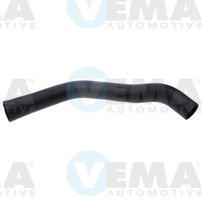 VE55893.JPG