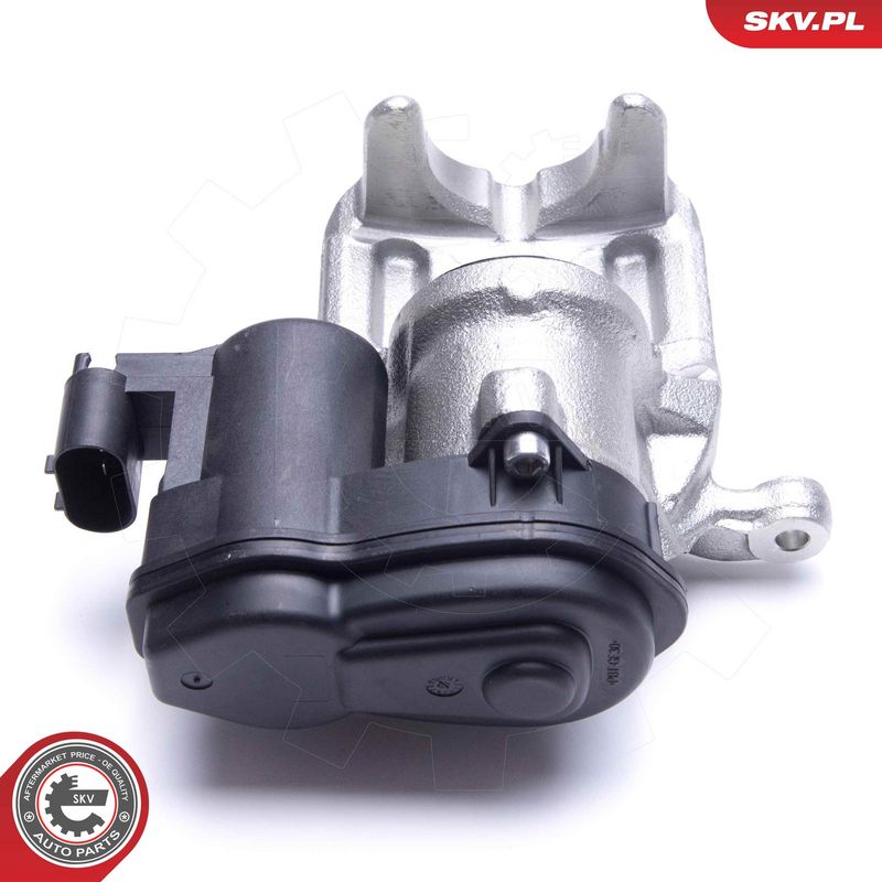 Pidurisadul, ESEN SKV 55SKV424