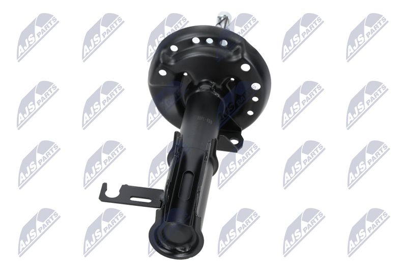 Amort, NTY A-PL-029